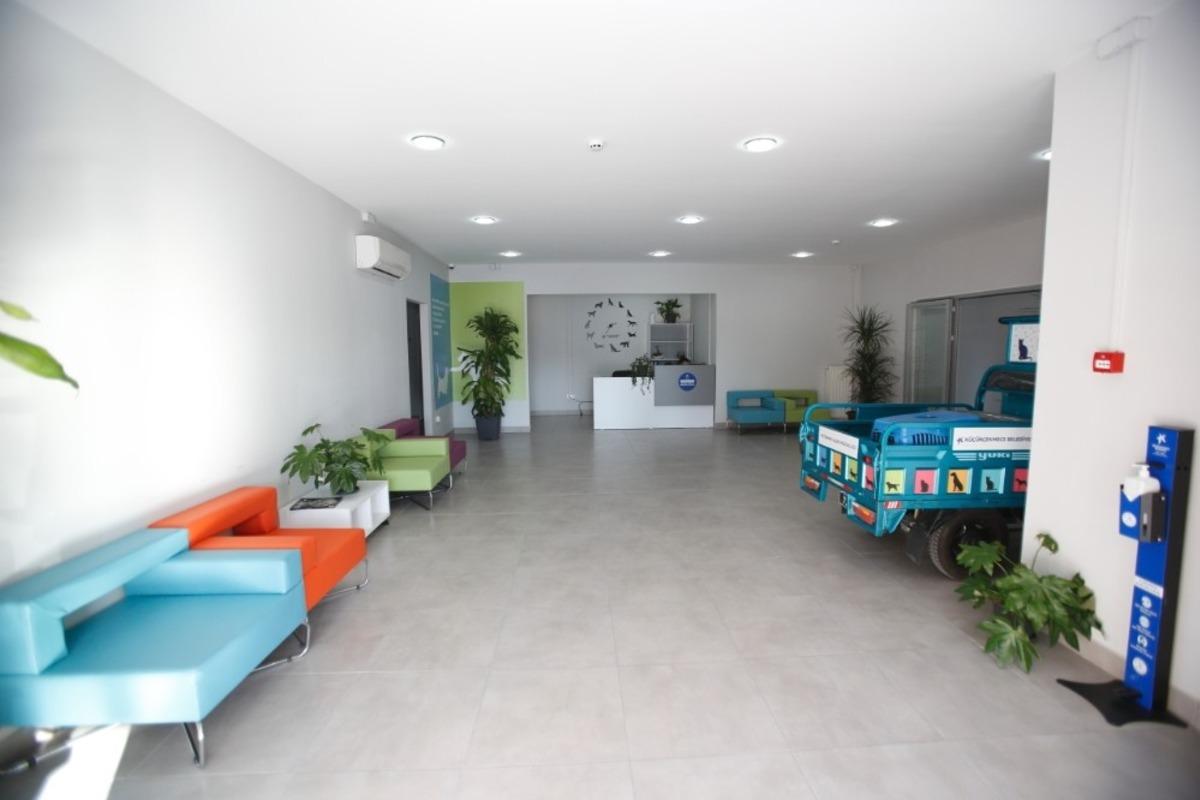 K&uuml;&ccedil;&uuml;k&ccedil;ekmece&rsquo;de sokak hayvanları i&ccedil;in donanımlı merkez