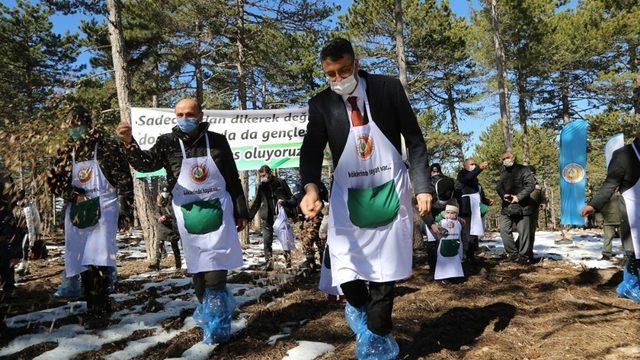 Karaçam tohumları toprakla buluştu