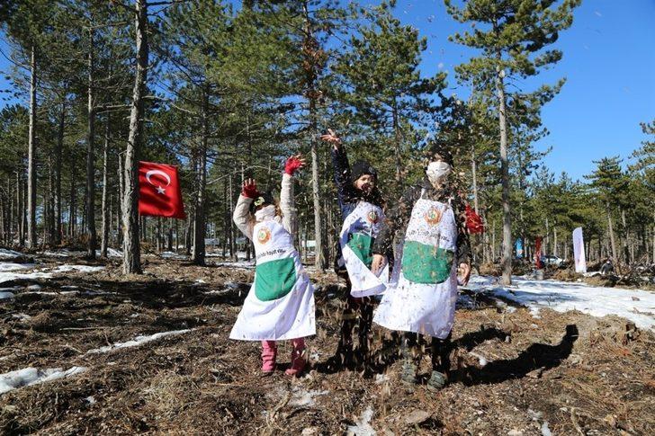 Karaçam tohumları toprakla buluştu G3