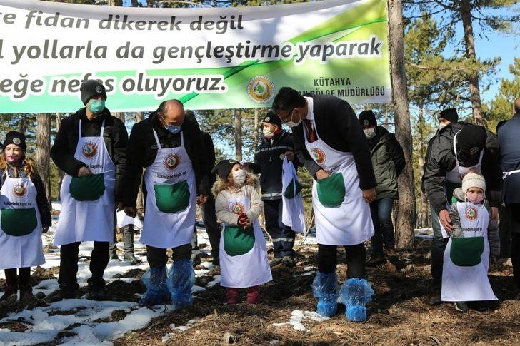 Karaçam tohumları toprakla buluştu G4