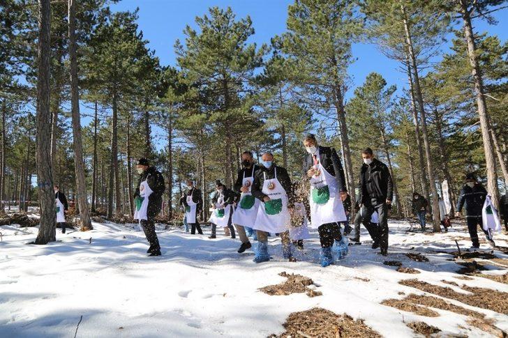 Karaçam tohumları toprakla buluştu G5