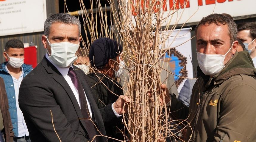İpek b&ouml;ceği &uuml;retimine Diyarbakır B&uuml;y&uuml;kşehir Belediyesinden destek