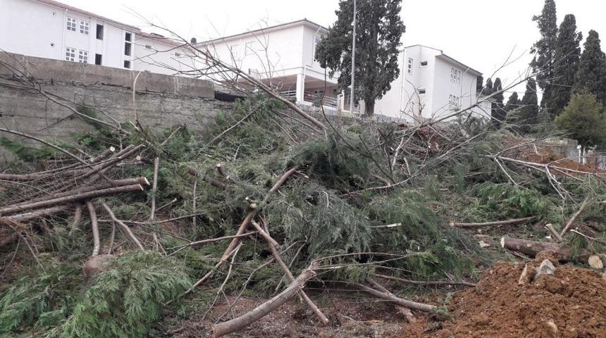 Hastane bah&ccedil;esindeki ağa&ccedil;lar kesildi