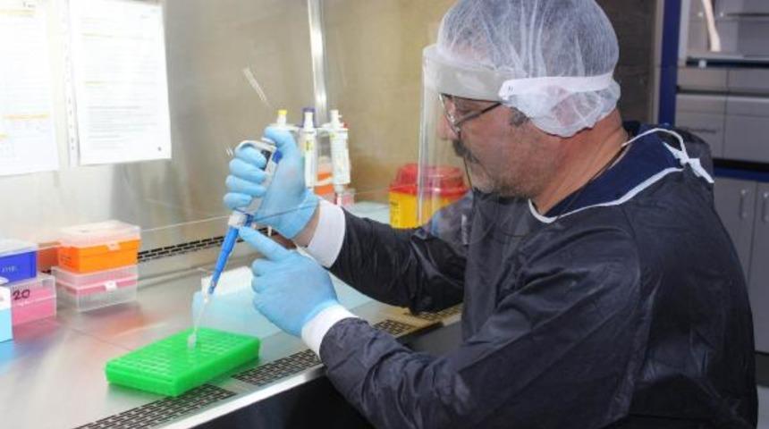 Yerli aşıda sevindiren haber! Profesör tarih verdi