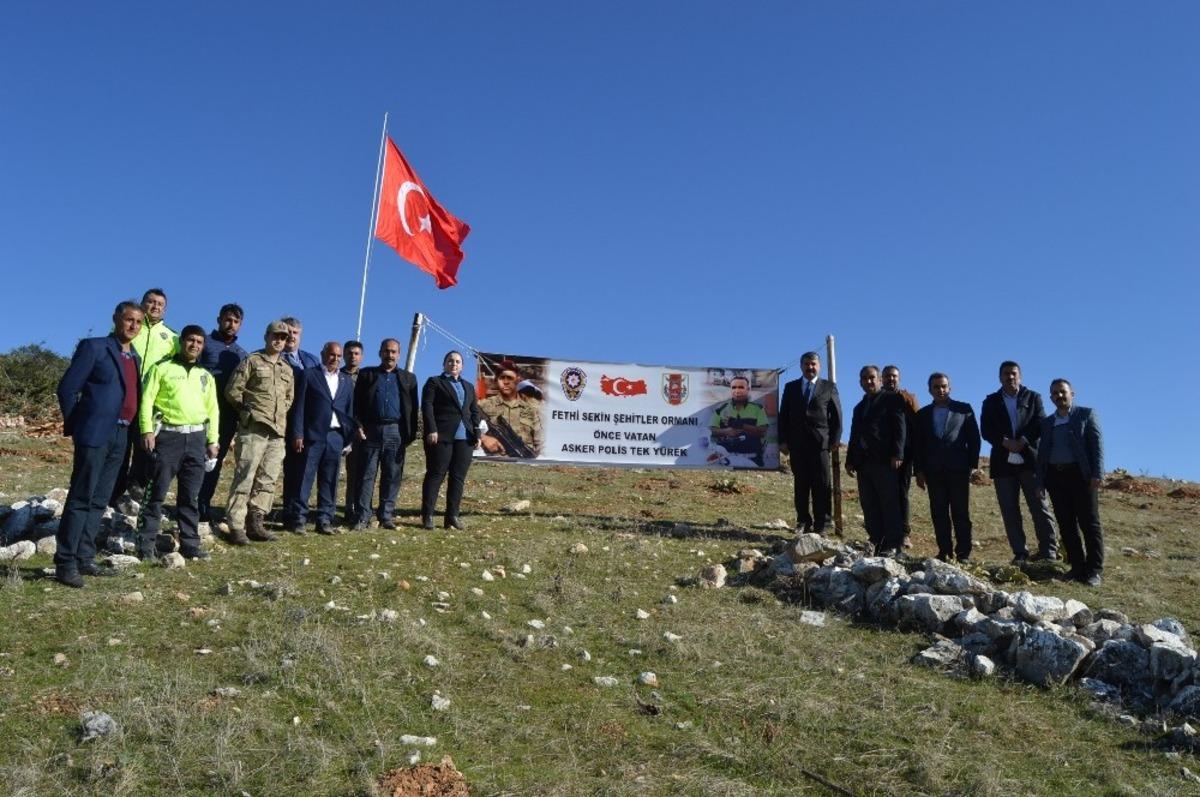 Besni&rsquo;de Fethi Sekin Hatıra Ormanında fidan dikimi ger&ccedil;ekleşti