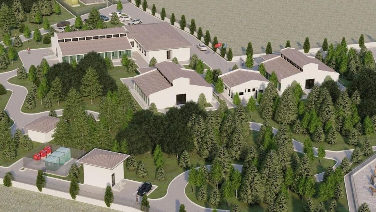 Sokak hayvanları i&ccedil;in g&uuml;&ccedil; birliği