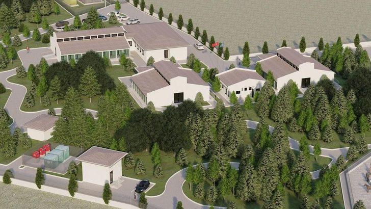 Sokak hayvanları için güç birliği G1