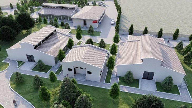 Sokak hayvanları için güç birliği G2