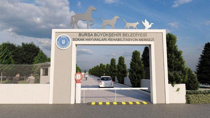 Sokak hayvanları için güç birliği G3