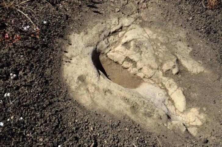Kula-Salihli UNESCO Global Jeoparkı'ndaki ayak izleri 5 bin yıllık çıktı