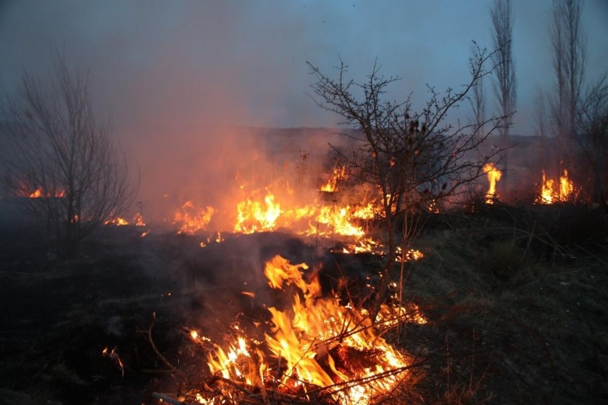 Domani&ccedil;&rsquo;te sazlık alanda yangın &ccedil;ıktı