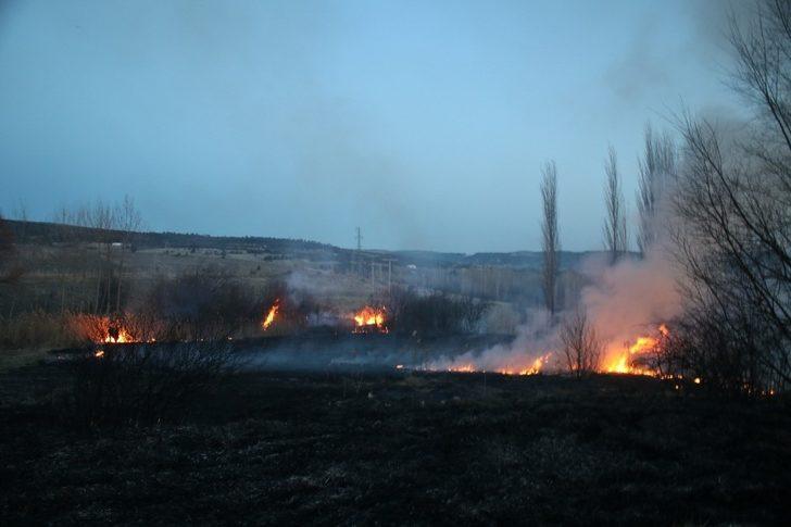 Domaniç’te sazlık alanda yangın çıktı G2