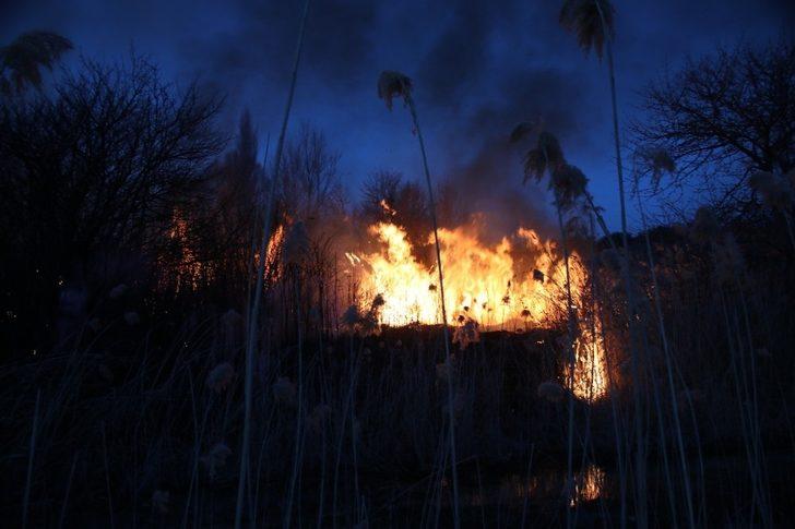 Domaniç’te sazlık alanda yangın çıktı G4