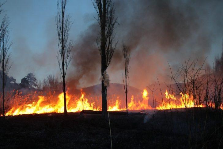 Domaniç’te sazlık alanda yangın çıktı G5