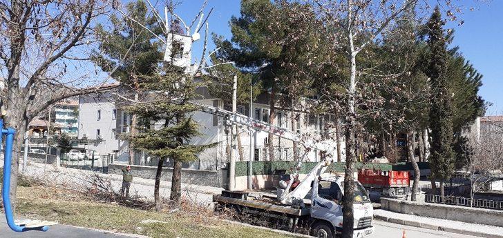 Osmancık’ta belediye ekipleri ağaçları buduyor G2