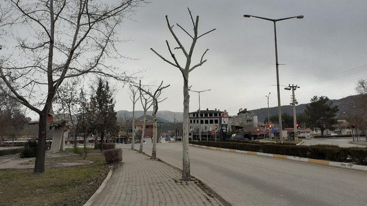 Osmancık’ta belediye ekipleri ağaçları buduyor G3