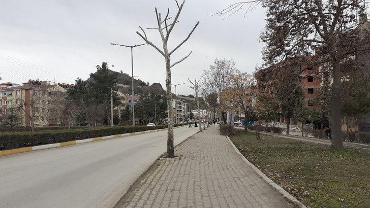 Osmancık’ta belediye ekipleri ağaçları buduyor G4