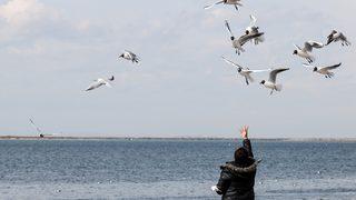 İzmir'de polis ekipleri kafe ve restoranların Kovid-19 tedbirlerini denetledi