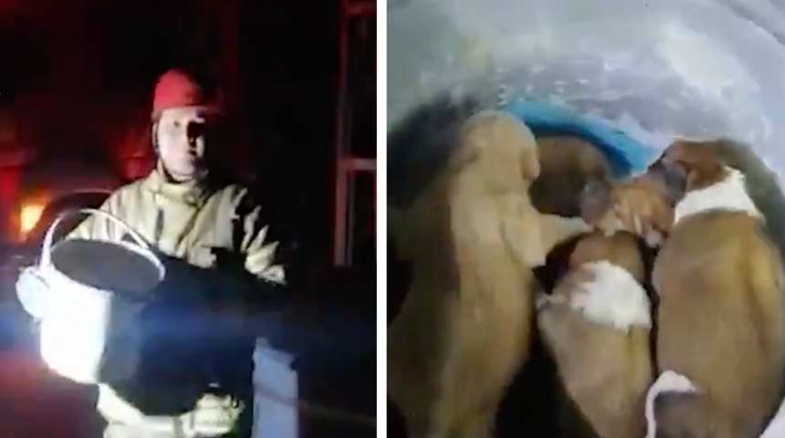 İmamoğlu, çöpe atılan yavru köpekleri paylaştı: Vicdan sahibi biri bunu yapmaz