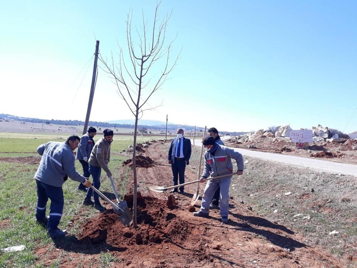 Altıntaş-Gediz yolunda ağa&ccedil;landırma &ccedil;alışmaları