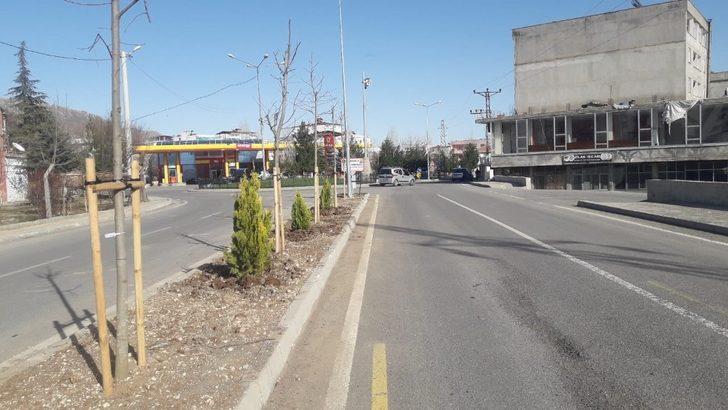 Hani Belediyesi, baharın gelişiyle park, bahçe düzenlemesi yaptı G2