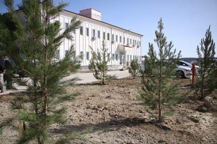 Hani Belediyesi, baharın gelişiyle park, bahçe düzenlemesi yaptı G4