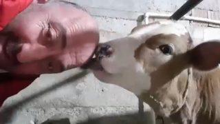 Saçı olmayan Karadenizli'den güldüren çözüm