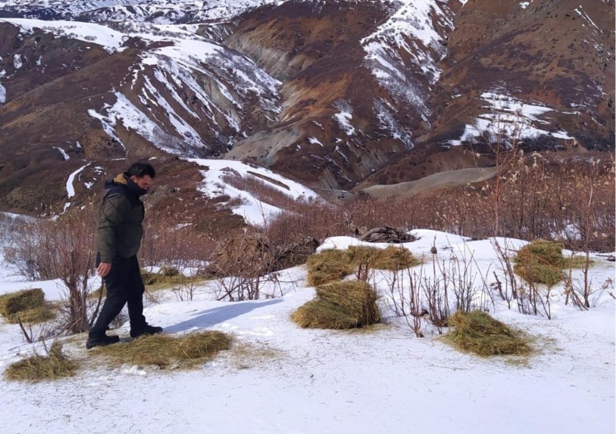 Bing&ouml;l&rsquo;de doğaya 800 kilo yem bırakıldı