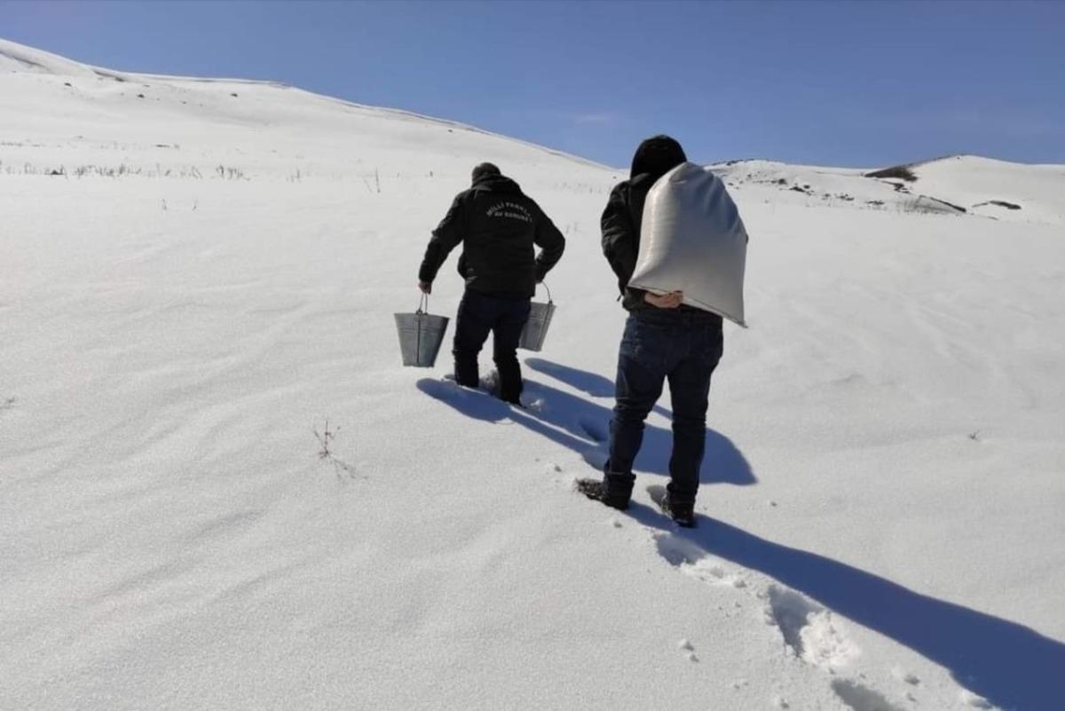 Van&rsquo;da yaban hayvanlarına yem desteği