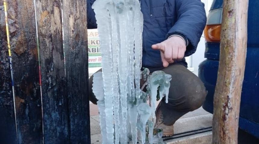 Çanakkale’de zirai don uyarısı