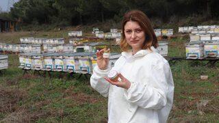 Kilogramı 7 bin lira olan arı sütü üretimiyle Türkiye'nin sayılı üreticilerinden oldu