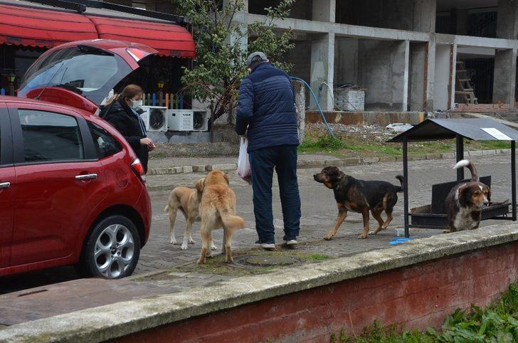 Ordulu çift sokak hayvanlarına duyarsız kalmadı G2