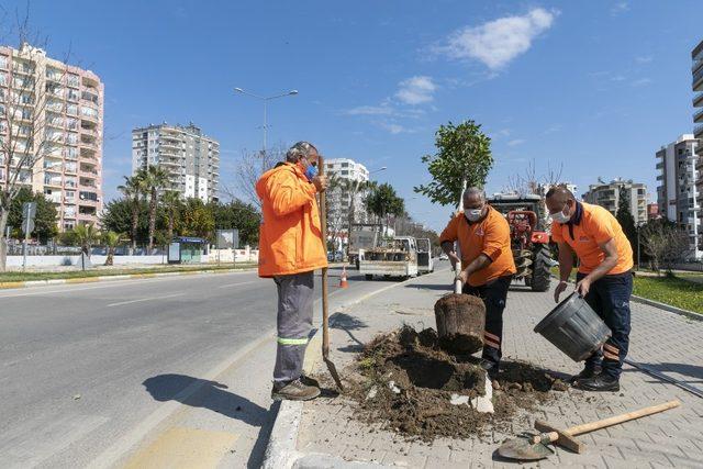 Mersin’de kaldırımlar hem yeniliyor hem yeşillendiriliyor