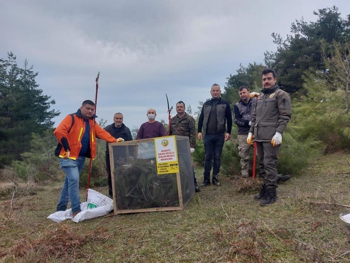 T&uuml;rkeli&rsquo;de &ccedil;am kese b&ouml;ceği ile m&uuml;cadele başladı