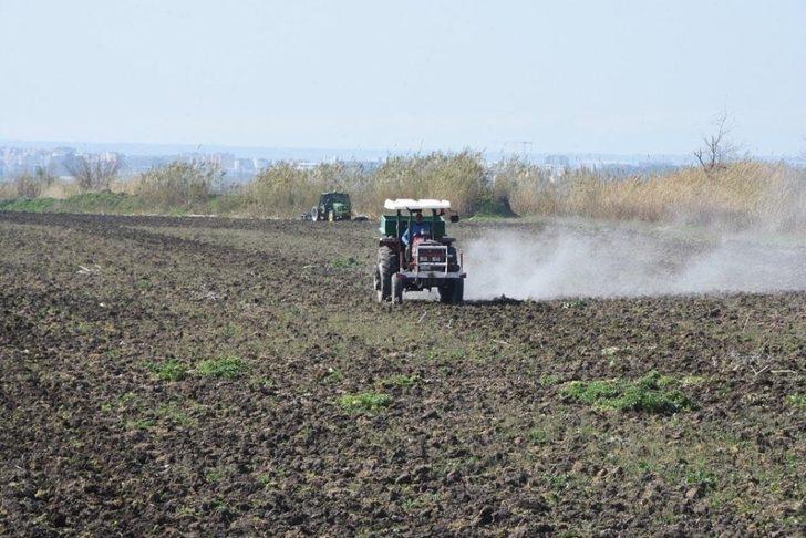Ceyhan Belediyesi mısır üretimine başladı G3