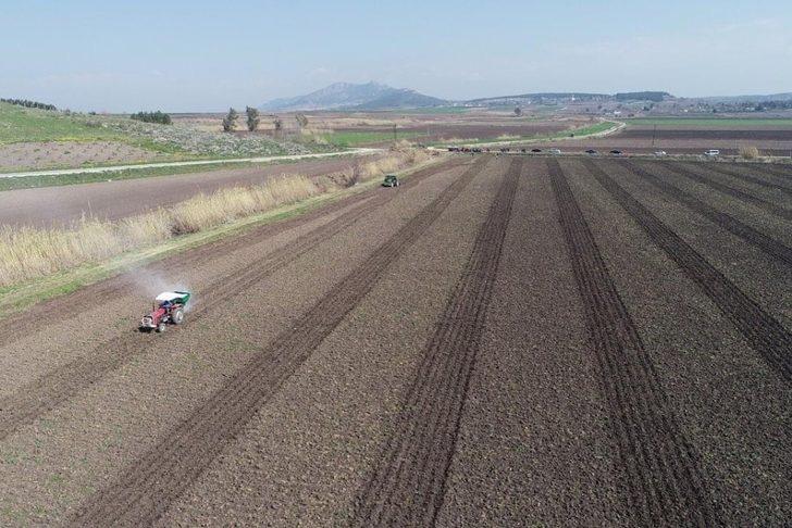 Ceyhan Belediyesi mısır üretimine başladı G4
