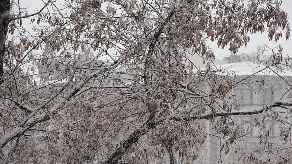 Ağrı&rsquo;da Mart ayında kar yağışı etkili oldu