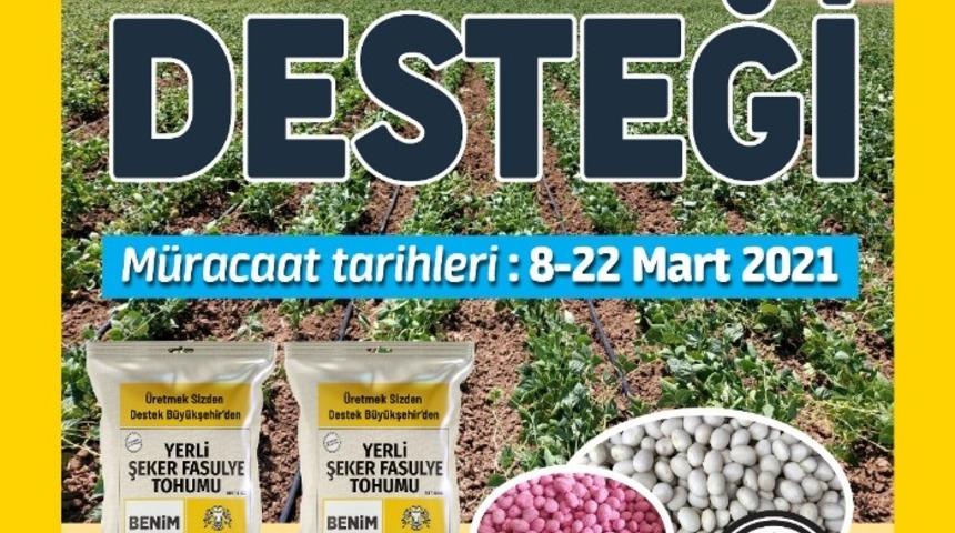 Konya B&uuml;y&uuml;kşehir&rsquo;den &uuml;reticiye yerli şeker fasulye tohumu desteği