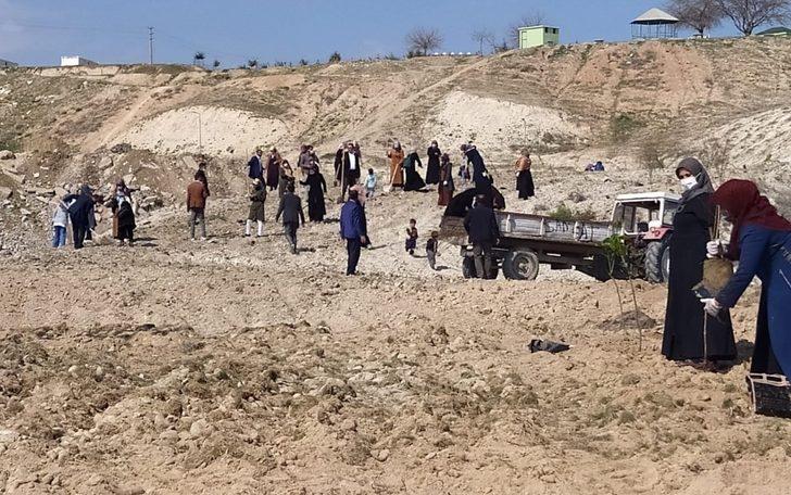 Samsat’ta kadınlar meyve fidanlarını toprakla buluşturdu G2