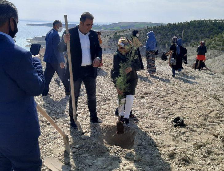 Samsat’ta kadınlar meyve fidanlarını toprakla buluşturdu G3