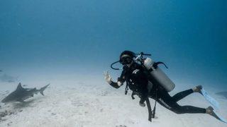 Eda Taşpınar köpek balıklarıyla yüzdü