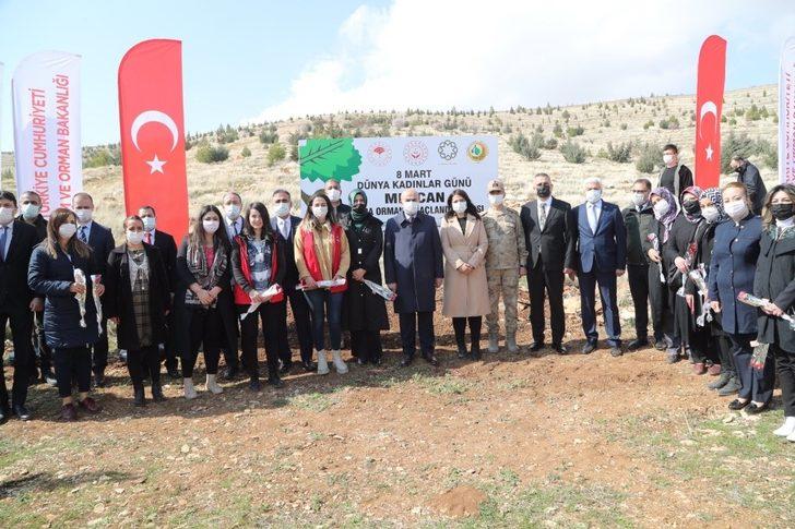 Mardin’de Dünya Kadınlar Günü’nde bin 200 fidan toprakla buluşturuldu G3