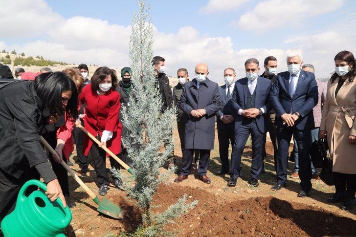 Mardin’de Dünya Kadınlar Günü’nde bin 200 fidan toprakla buluşturuldu G4