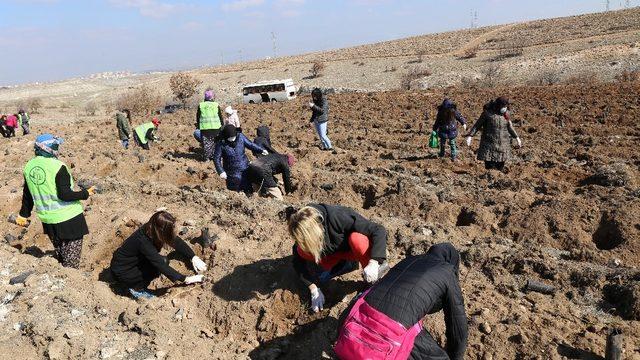 Fidanlar kadınlar için toprakla buluştu