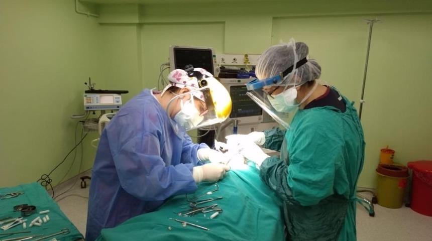 Diş Hekimliği Fakültesi artık engelsiz