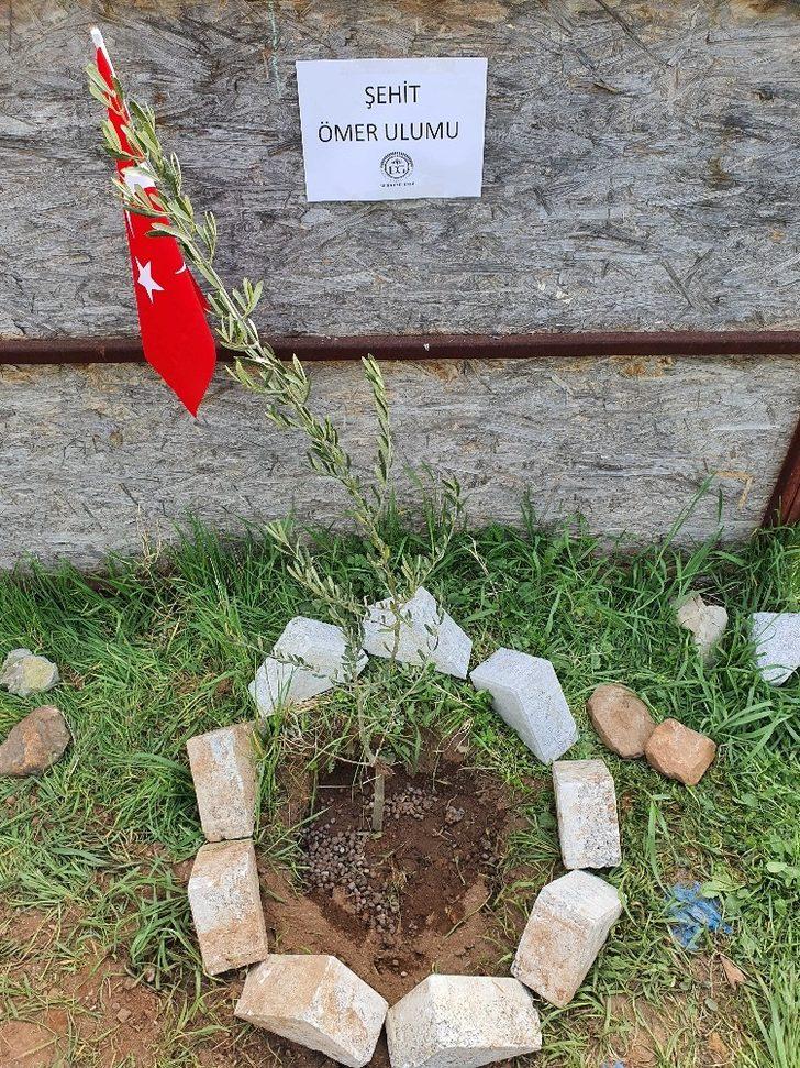 Bitlis şehitleri anısına fidan dikildi G2