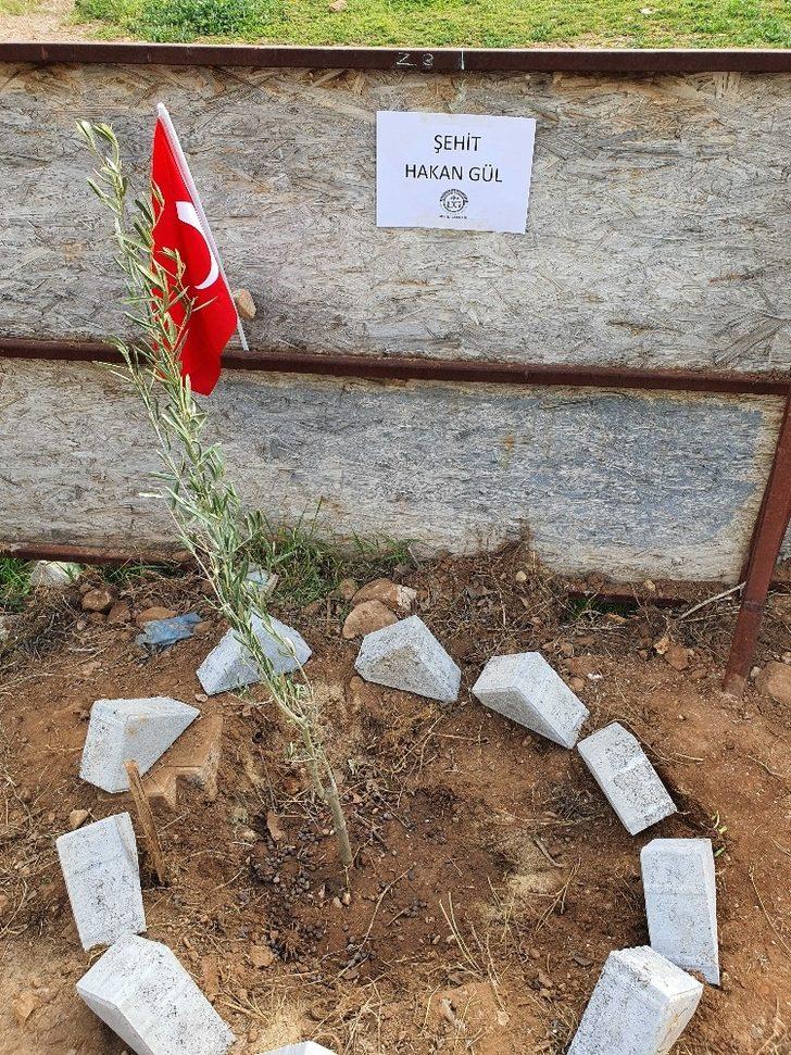 Bitlis şehitleri anısına fidan dikildi G4