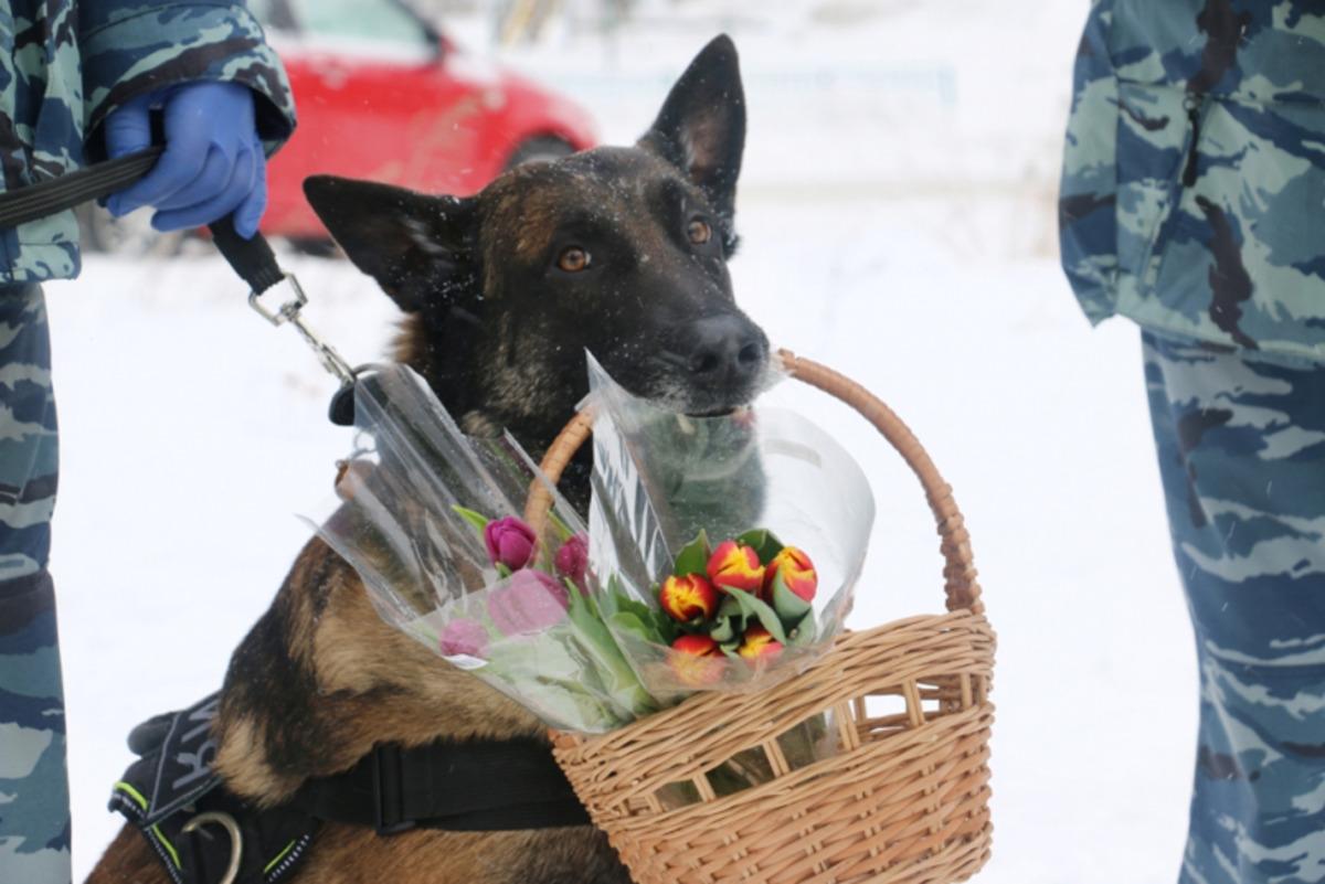 Rusya&rsquo;da polis k&ouml;peği, kadınlara &ccedil;i&ccedil;ek dağıttı