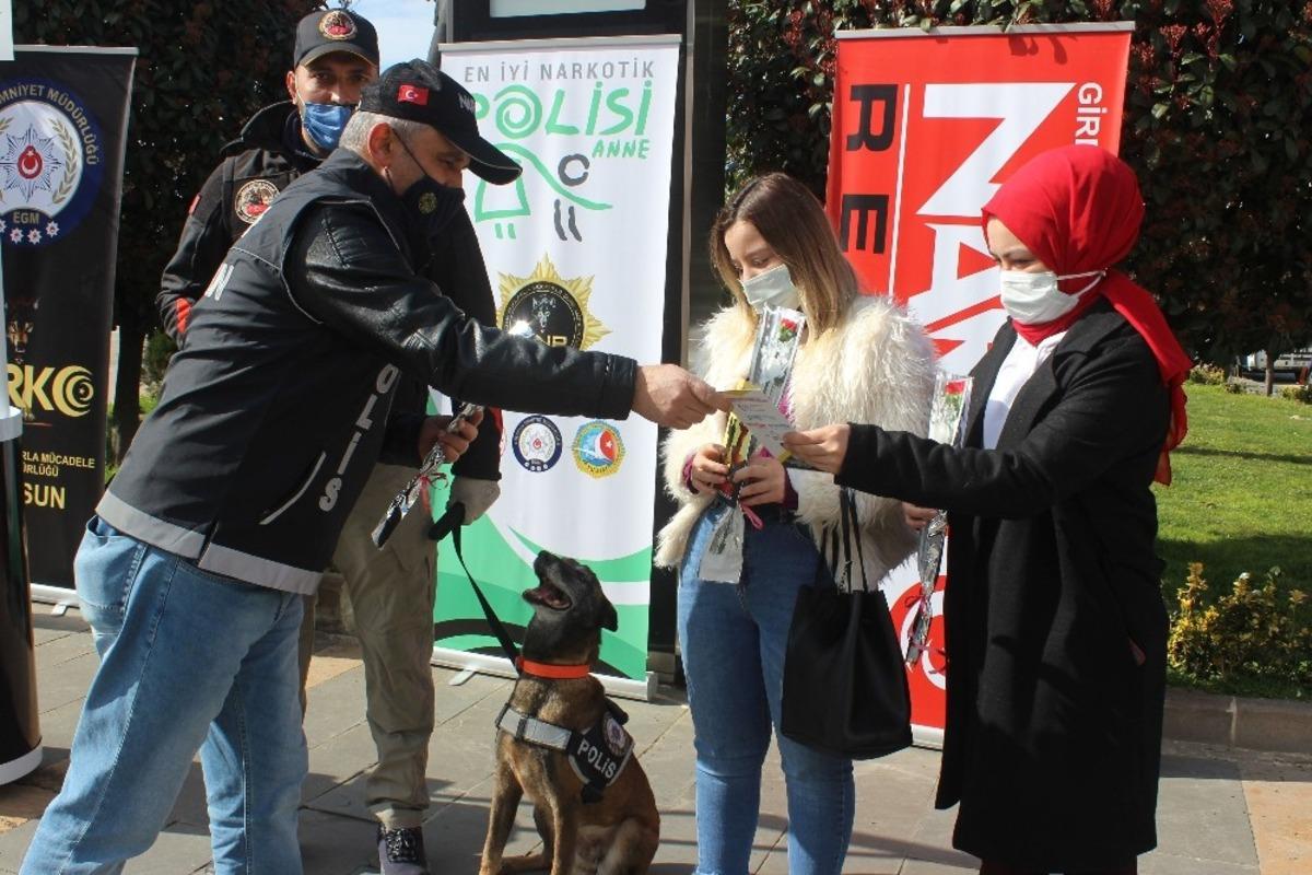 Giresun&rsquo;da D&uuml;nya Kadınlar G&uuml;n&uuml; dolayısıyla kadınlara karanfil dağıtıldı