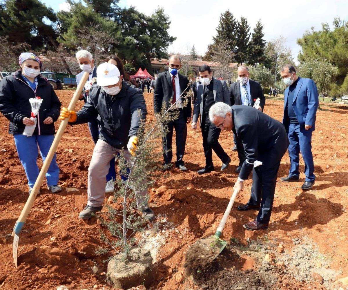 GA&Uuml;N&rsquo;den fidan dikimi